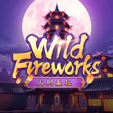 ภาพเกม ไวลด์ไฟร์เวิร์ค